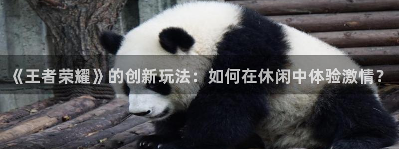 多彩娱乐集团：《王者荣耀》的创新玩法：如何在休闲中体验激情？