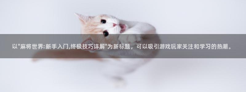 多彩娱乐平台负责人：以\