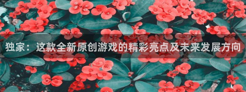 多彩娱乐手机网页版登录：独家：这款全新原创游戏的精彩亮点及未