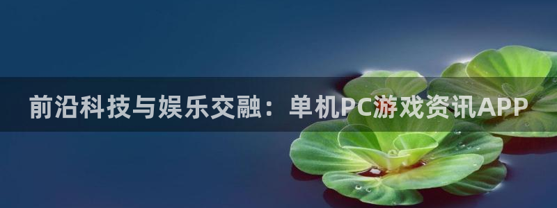 手机多彩娱乐下载安装：前沿科技与娱乐交融：单机PC游戏资讯A