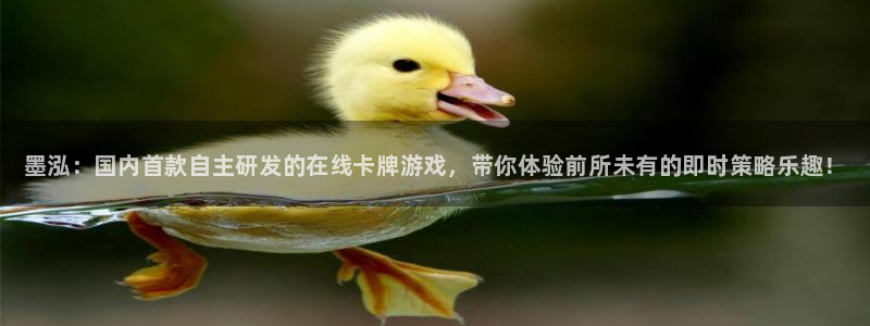多彩娱乐测速：墨泓：国内首款自主研发的在线卡牌游戏，带你体验