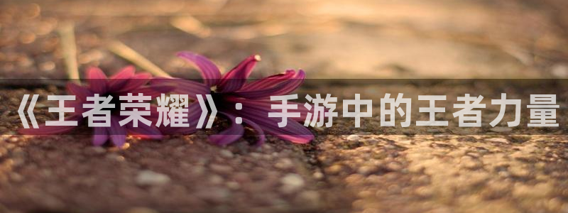 多彩娱乐怎么注册：《王者荣耀》：手游中的王者力量
