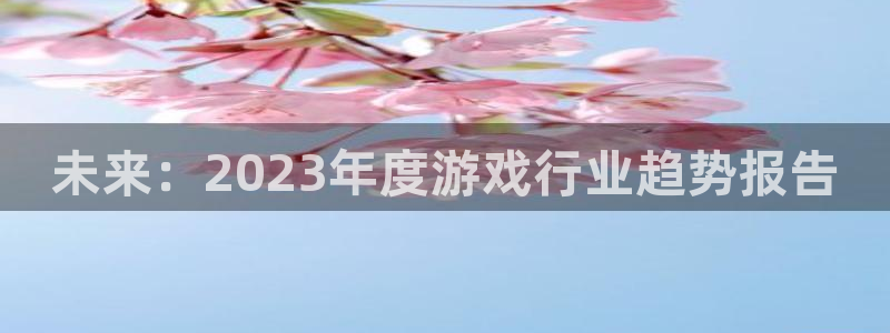 多彩娱乐主管：未来：2023年度游戏行业趋势报告