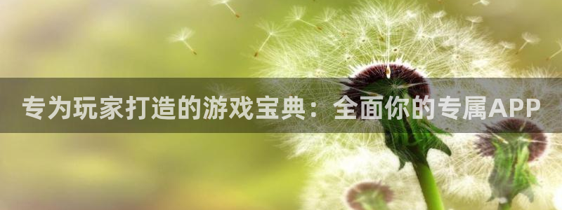 多彩娱乐平台官网登录：专为玩家打造的游戏宝典：全面你的专属A