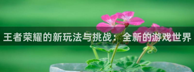 多彩娱乐4开户：王者荣耀的新玩法与挑战：全新的游戏世界