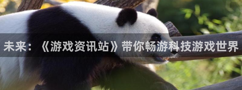 多彩娱乐下载：未来：《游戏资讯站》带你畅游科技游戏世界