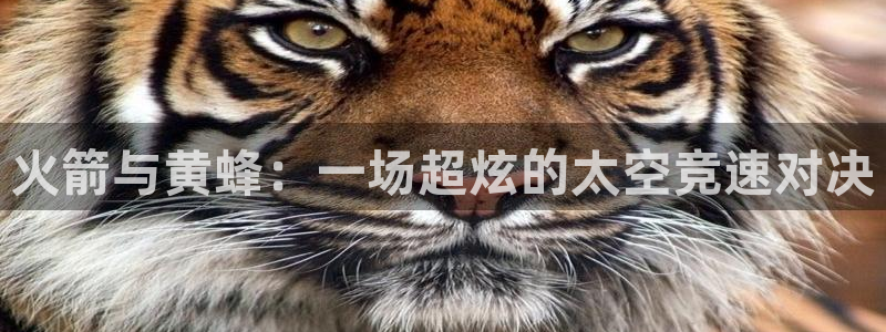 51视频在线直播nba：火箭与黄蜂：一场超炫的太空竞速对决