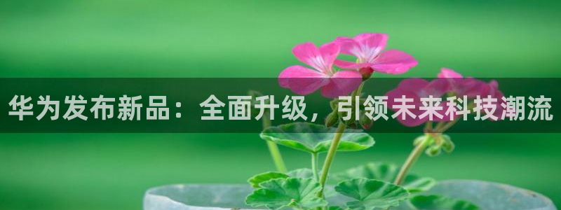 51视频在线直播nba