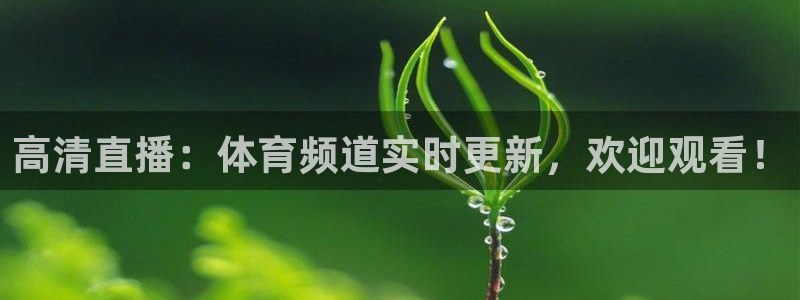 51视频在线直播nba