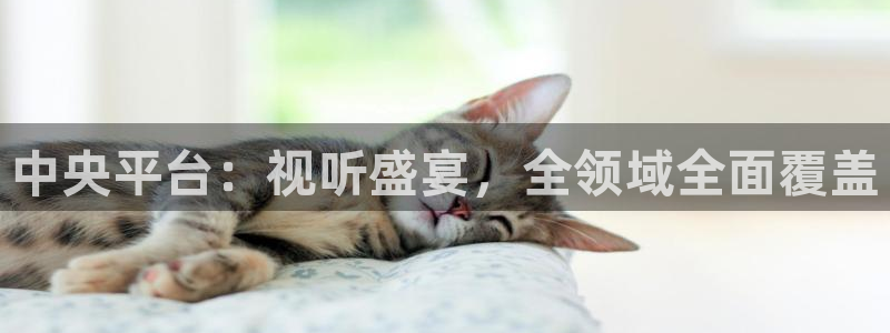 51视频在线直播nba：中央平台：视听盛宴，全领域全面覆盖