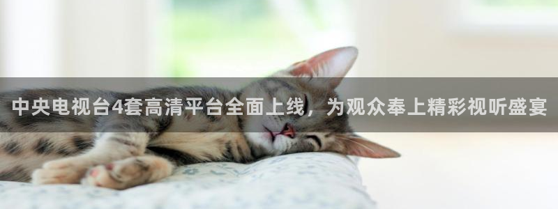 51视频在线直播nba：中央电视台4套高清平台全面上线，为观众奉上精彩视听盛宴