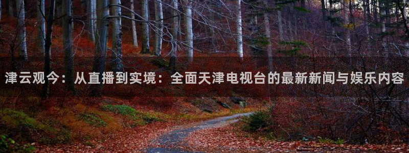 51视频在线直播nba：津云观今：从直播到实境：全面天津电视台的最新新闻与娱乐内容