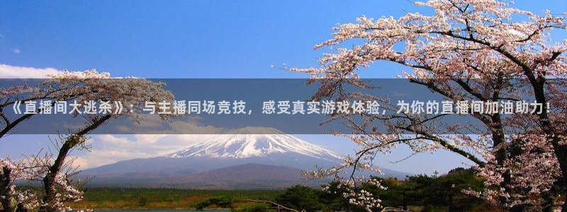 51视频在线直播nba：《直播间大逃杀》：与主播同场竞技，感受真实游戏体验，为你的直播间加油助力！